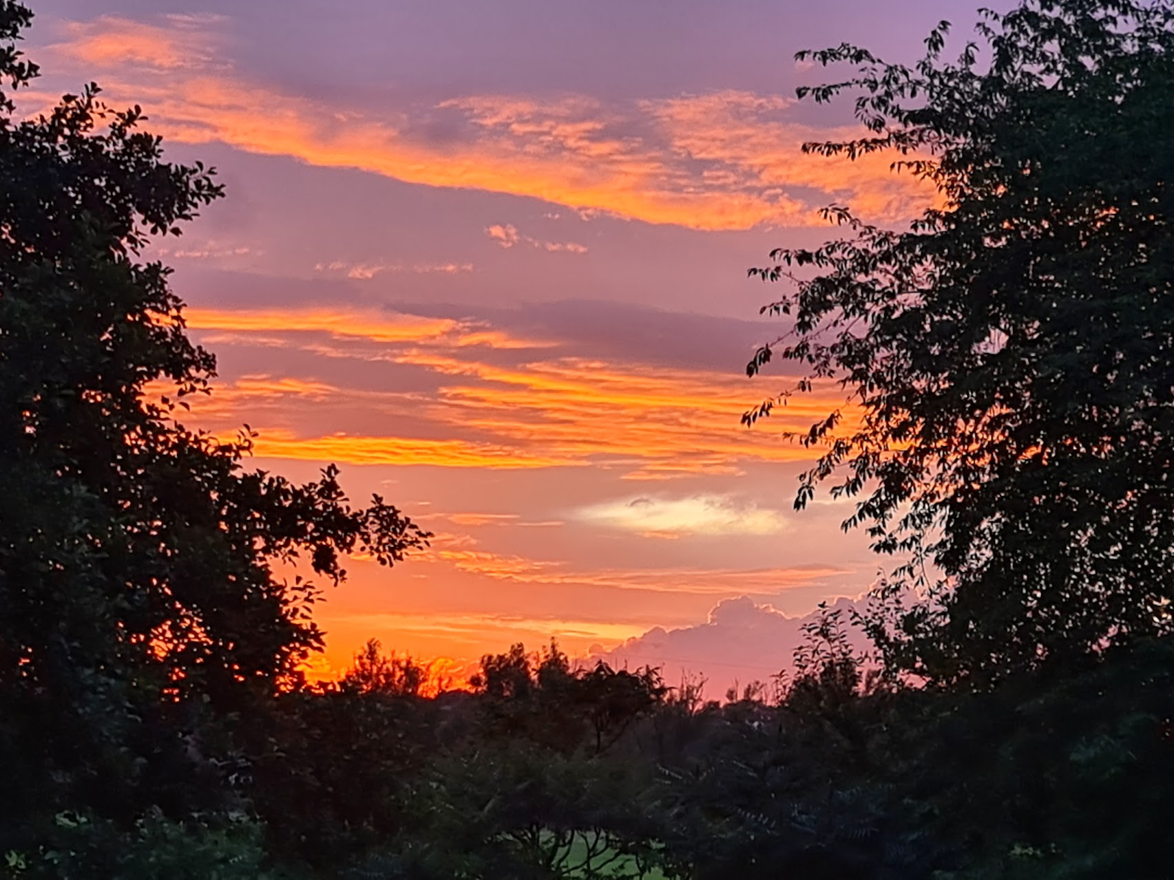 Naturfoto: Sternenhimmel
